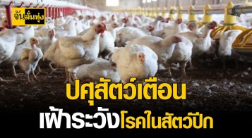 องค์การบริหารส่วนตำบลห้วยหินลาด ขอความร่วมมือเฝ้าระวัง  ป้องกันโรคระบาดในสัตว์ป